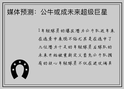 媒体预测：公牛或成未来超级巨星